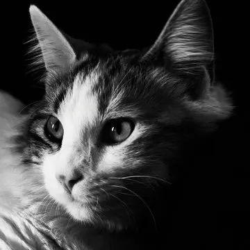 南宫体育用户肖像